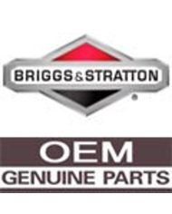 TUERCA CUCHILLA BRIGGS STRATTON SP43