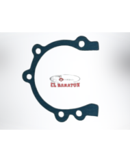 EMPAQUE CARTER SR420