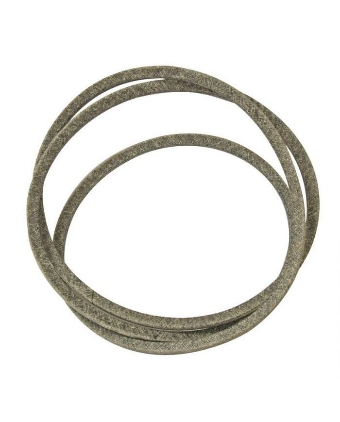 BANDA DE TRANSMISION