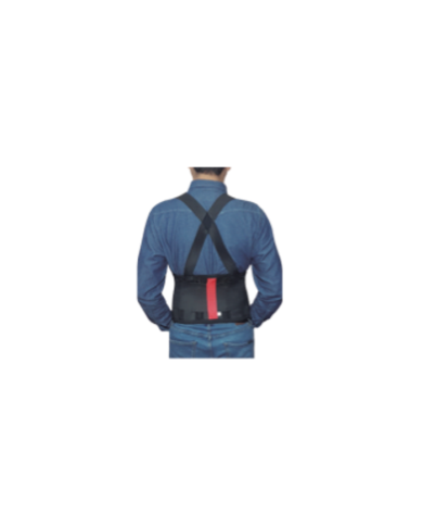 FAJA ANTILUMBAGO ESTÁNDAR