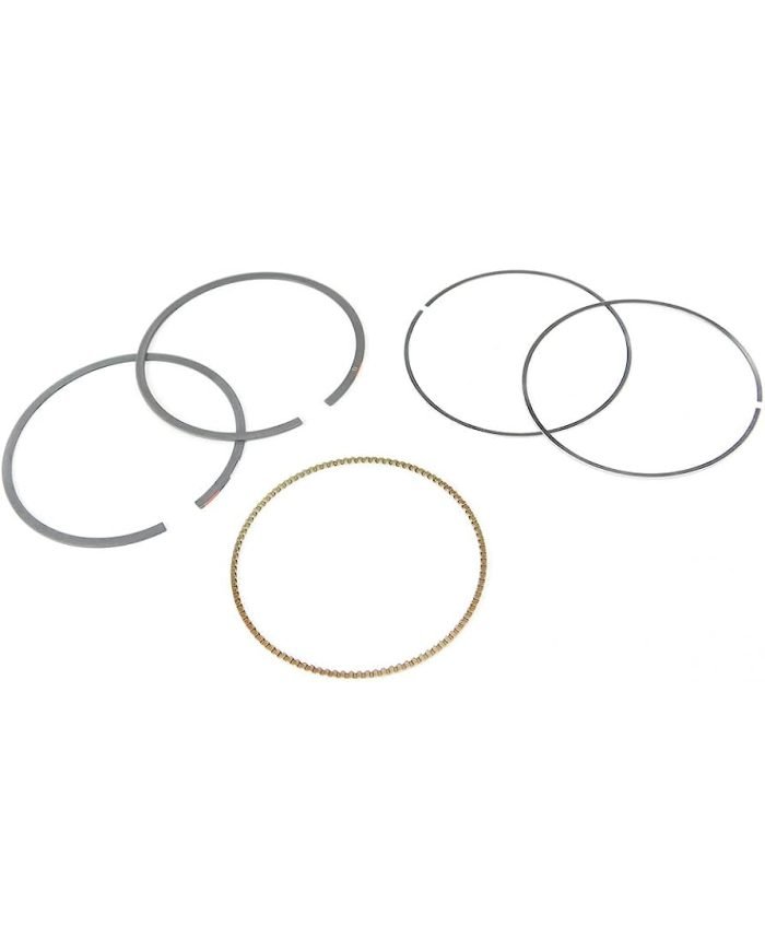 RINES BRIGGS STRATON