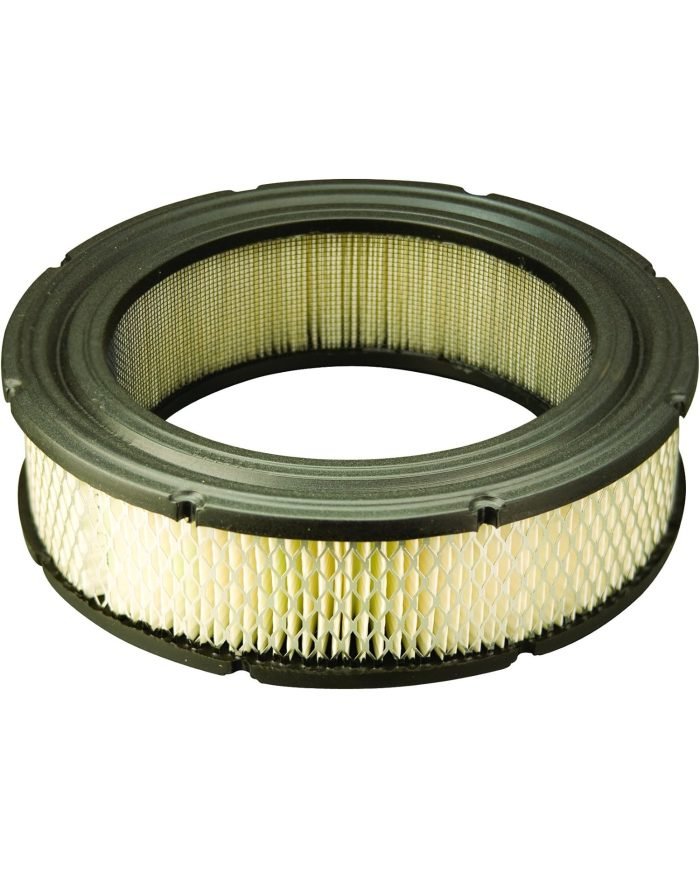 FILTRO DE AIRE VANGUARD 21HP