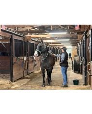 MINICARGADOR GRAVELY AXIS 200 DT