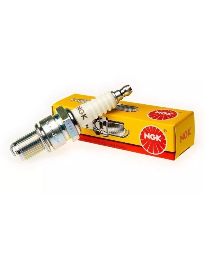 BUJIA NGK CS6