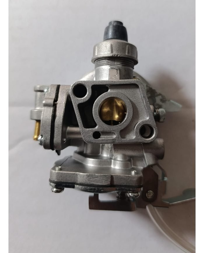 CARBURADOR MOTOGUADAÑA BRIGGS STRATTON