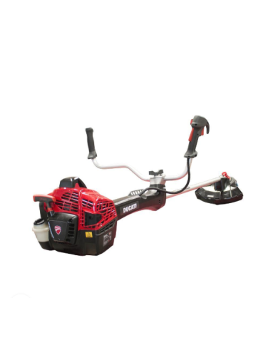 MOTOGUADAÑA DUCATI DBC 4600RS