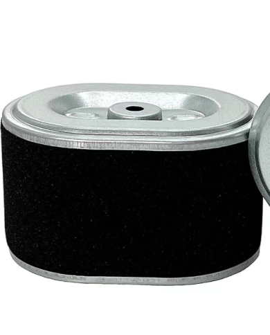 FILTRO DE AIRE BRIGSS & STRATTON