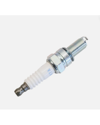 BUJIA NGK PMR7A